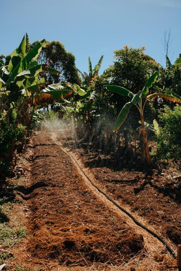 Hotel Vegano Bona Espero Alto Paraíso de Goiás المظهر الخارجي الصورة