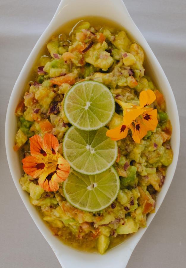 Hotel Vegano Bona Espero Alto Paraíso de Goiás المظهر الخارجي الصورة