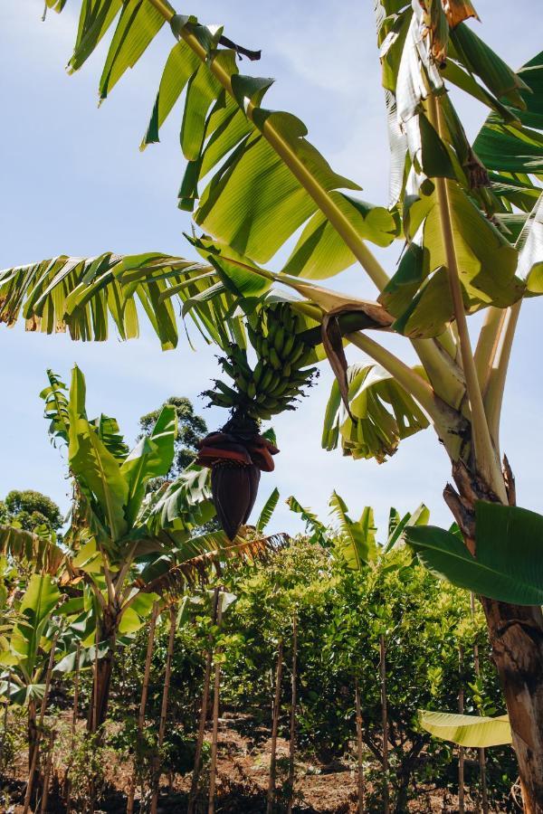 Hotel Vegano Bona Espero Alto Paraíso de Goiás المظهر الخارجي الصورة